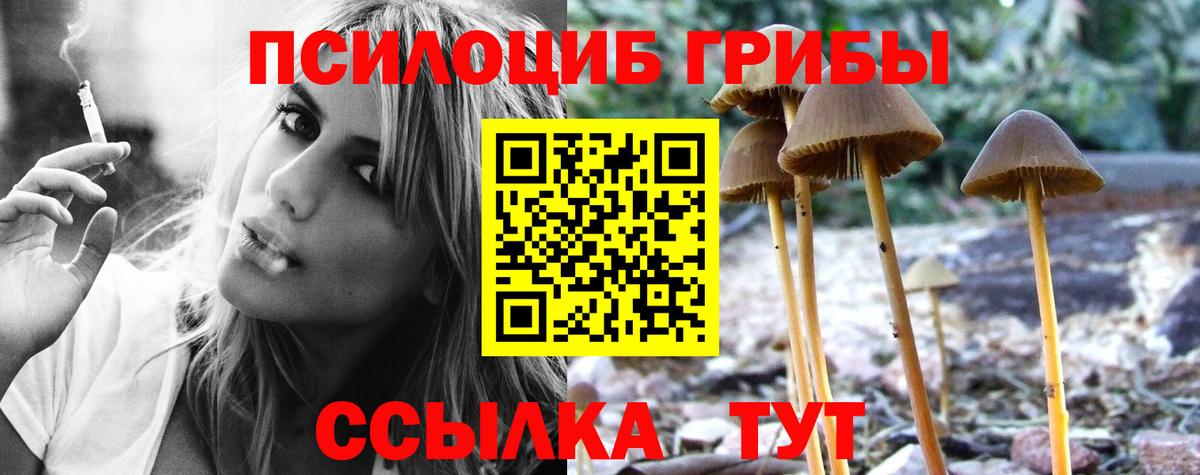 Галлюциногенные грибы прущие грибы Кемерово