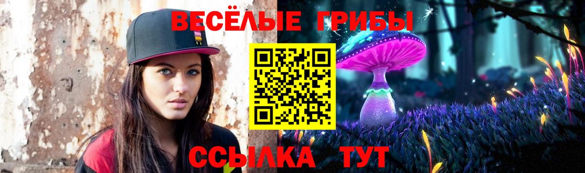 Кемерово  Псилоцибиновые грибы мицелий  Вход с VPN 